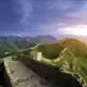 suiwenyang