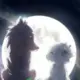 王佳琪