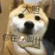 伊甸园的头像-投影工坊