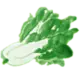 月飞