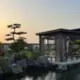 黑妹