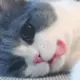 1的N次幂