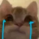 吖
