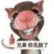 牛斯拉的头像-投影工坊