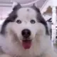 网友昵称：奥里给