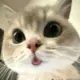 。。。。。。。。。。。。的头像-投影工坊