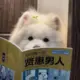 rexs的头像-投影工坊