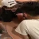 ㄤ