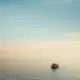 polo条meme的头像-天机阁