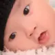 syh123456的头像-投影工坊