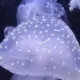 sliverwar的头像-天机阁