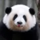 KUN_IDE