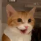 zxcvbnm321