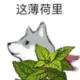 ll