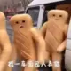 xiaoluFSshop的头像-投影工坊