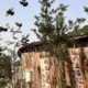 2895877920A的头像-投影工坊