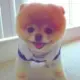 南少