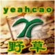 野草博客