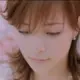 主题博客