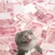 逐渐忙碌的头像-投影工坊