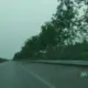 老杨