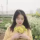 lihonghao