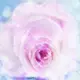 chensheng