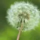 飞翔