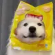 宝宝