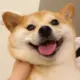 cbdhpg