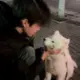 星光就在前方