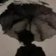 sktw