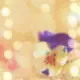梅
