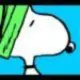 轨迹猫