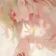 凉茶河北