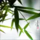 竹海听涛