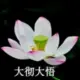 wwwnni的头像-天机阁