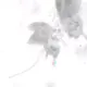lkajbfvwehufhgvd的头像-投影工坊