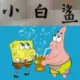 小白鲨的头像-投影工坊