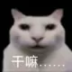 xi20092的头像-天机阁