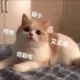 a1324576