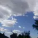 980077309