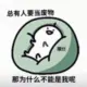 llyycc的头像-天机阁
