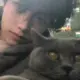 白泽.的头像-投影工坊