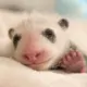 厦门SEO