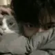 猫机厨的头像-投影工坊
