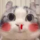 Jcshengge