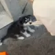 江上川
