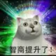 ll12345的头像-天机阁
