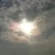 二狗